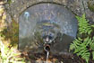La fontaine